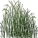     
: grass.png
: 3017
:	79.2 
ID:	9542